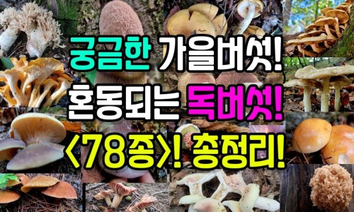小儿退热药哪个效果最好-小儿退热合剂 广西药用网—知名的小儿退热药用法和用量网站,分享小儿退热药哪个效果最好知识