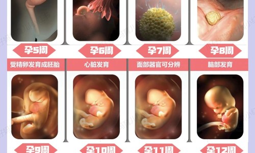 小儿退热合剂是退烧药吗-小儿退热合剂 广西药用网—知名的小儿退热药用法和用量网站,分享小儿退热药哪个效果最好知识